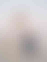 engagement session with dog on the beach