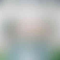 traditional bridal party pose