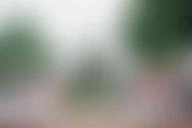 garden wedding ceremony at inn on boltwood