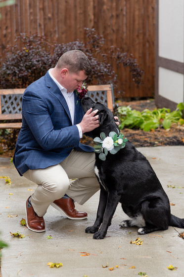 groom petting dog
