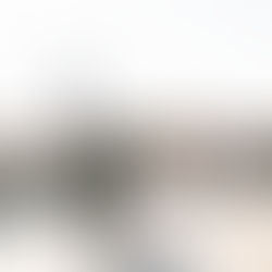 2024 recap | Tamara Merri Photography