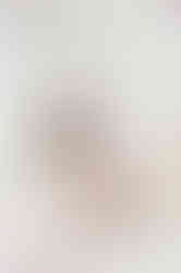 family photo in studio with flowers hung up on wall