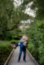 wooden boardwalk doyle conservation area