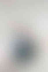 family photo in studio with flowers hung up on wall