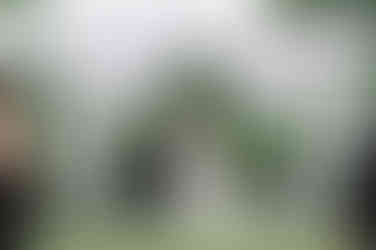 celebrating after being proclaimed wife and wife