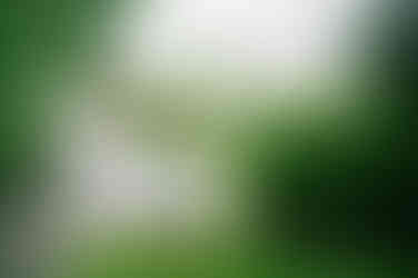 inn on boltwood signage