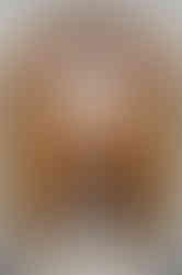 worcester city hall wedding ceremony