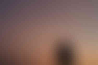 couple silhouetted in sunset