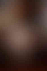 Worcester Elopement reception at armsby Abbey