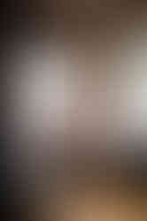 Worcester Elopement reception at armsby Abbey