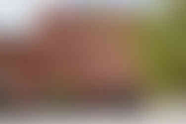 Worcester Elopement reception at Armsby Abbey