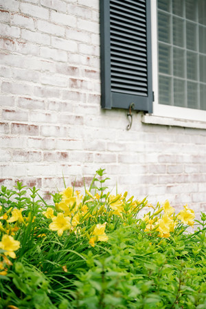flowers in bloom on venue property