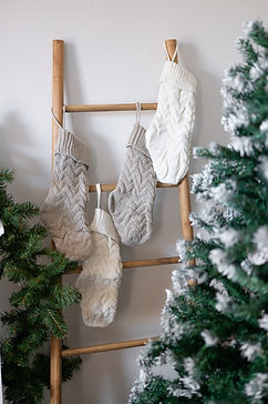 studio-holiday-mini-family-photo-central-mass-photographer-6.jpg