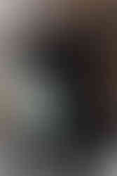 dog with flower collar