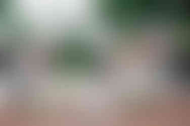 couple doing a dip kiss in aisle after wedding ceremony for a must-have ceremony photo