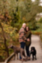 wooden boardwalk doyle conservation area in the fall