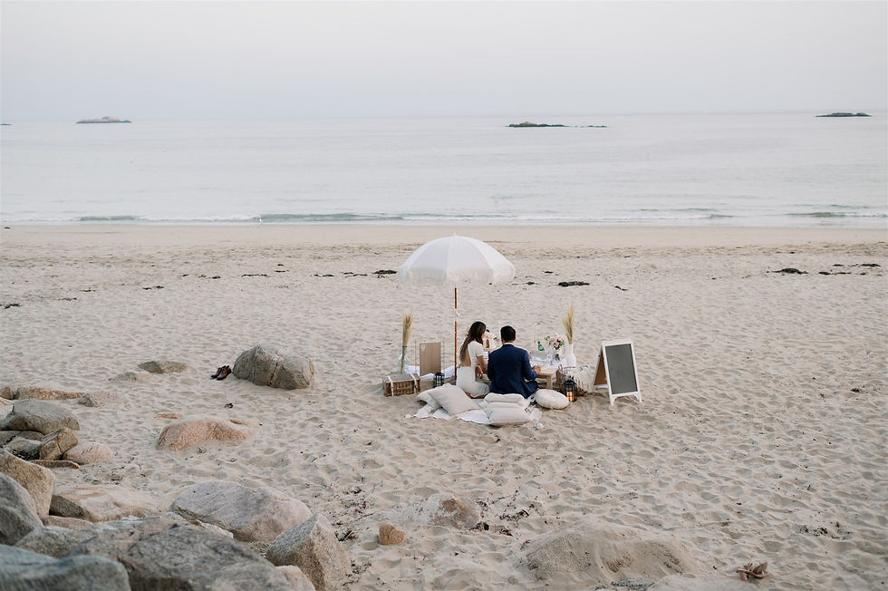Let's Picnic Boston picnic on the beach for elopement