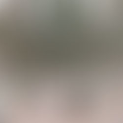 Christopher Columbus Park Proposal in Boston | Robert & Ashley