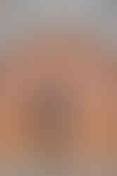 wedding portrait at worcester city hall