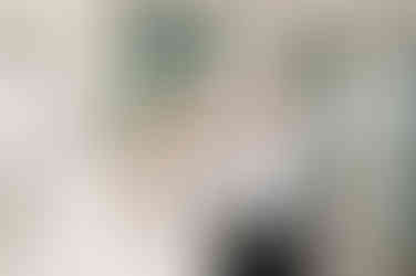 cake cutting at wedding reception