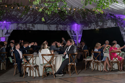candid photo of guests raising glasses during wedding reception