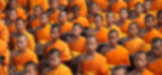 Buddhist Monks in Orange