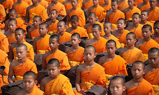 Buddhist Monks in Orange