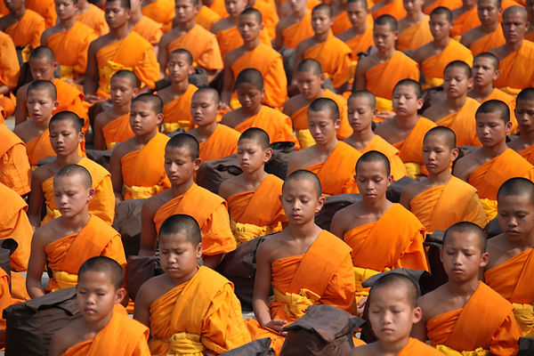 Buddhist Monks in Orange