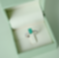 Latin SYR_8 MAR_049_edited.png