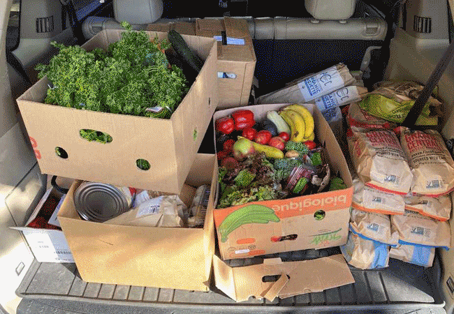 Volunteer_Car.gif