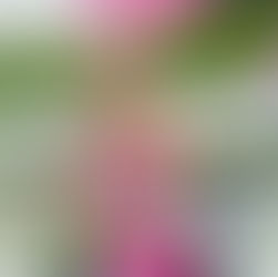 도도출장안마 | 광명출장안마 – 광명출장마사지 출장서비스 | 광명출장샵