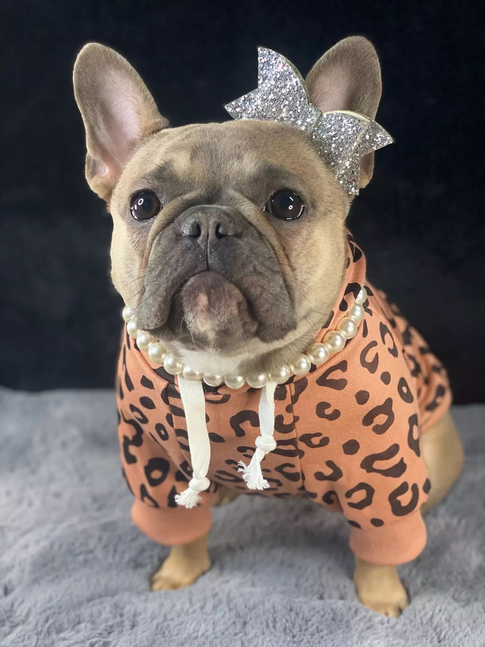 Thumbnail: Leopard hoodie