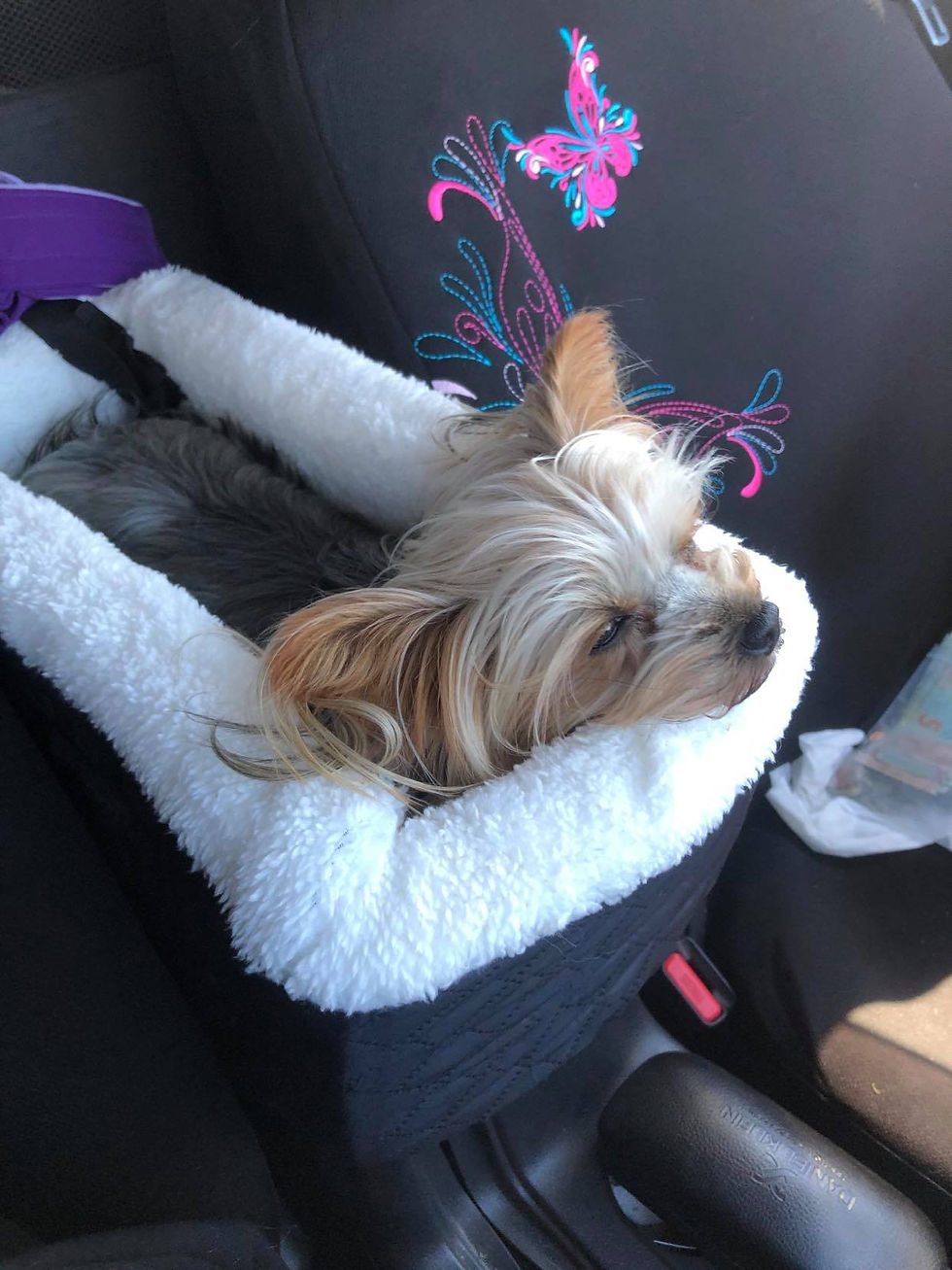 Thumbnail: Centre consol, Armrest car seat
