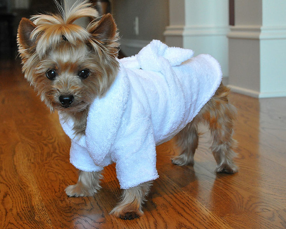 Thumbnail: Bath Robe