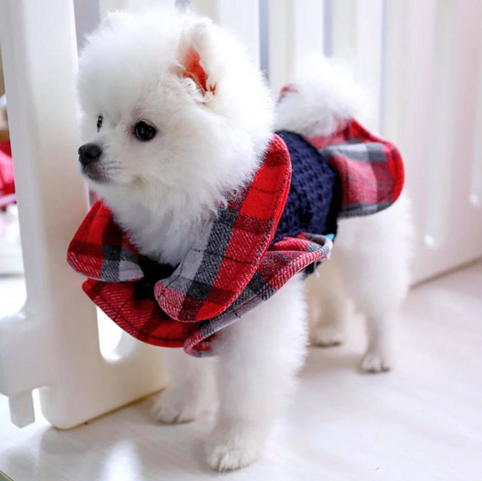 Thumbnail: Winter Dress