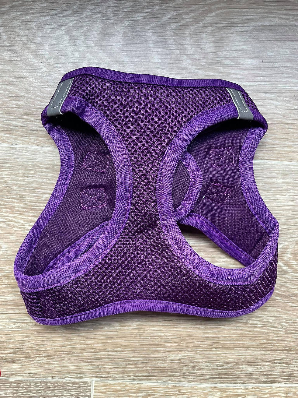 Thumbnail: Brandy Harness