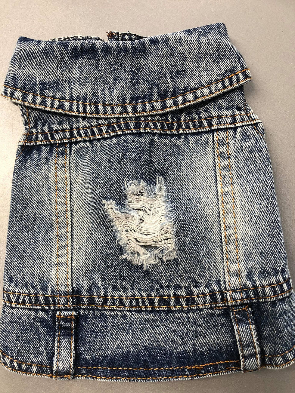 Thumbnail: Doggy denim