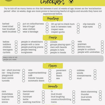 puppy socialising.jpg