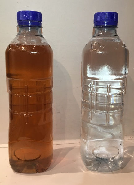 Flint's water crisis