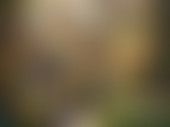 Der Mensch im Spiegel der Maschine – über Effizienz, Identität und die drohende Sinnkrise