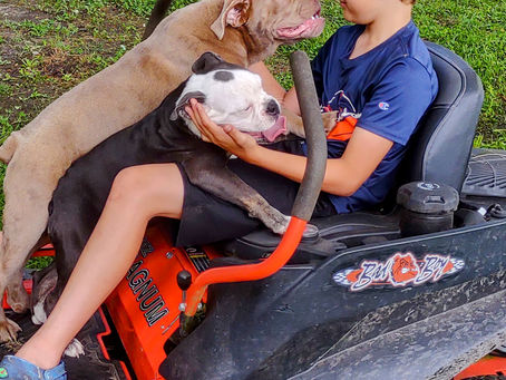 Just a boy and his dogges