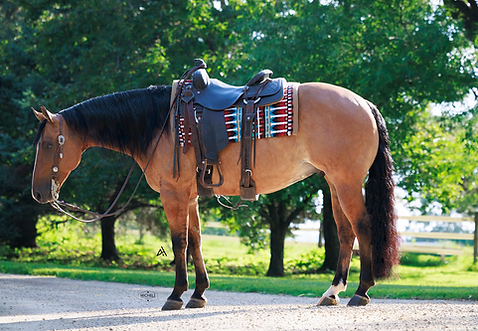 October 5, 2024 (3)_edited.jpg