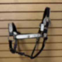 Dale Chavez Show Halter - Style 33