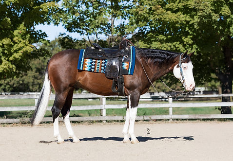 October 5, 2024 (3)_edited.jpg