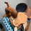 Thumbnail: SRS Saddlery Barrel Saddle