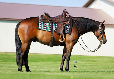 October 5, 2024 (3)_edited.jpg