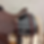 Thumbnail: 15" Jeff Smith Cowhorse RS-562