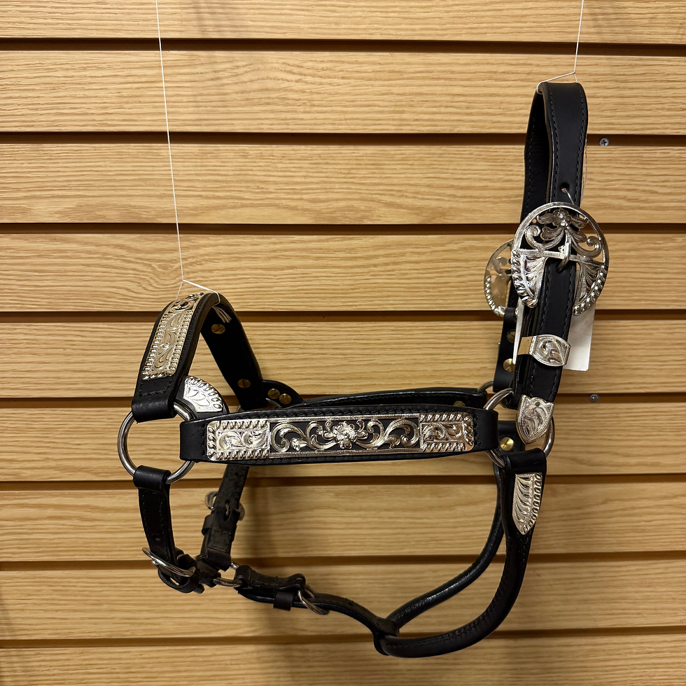 Dale Chavez Show Halter - Style 7