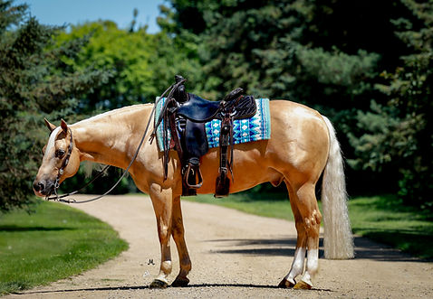 October 5, 2024 (3)_edited.jpg