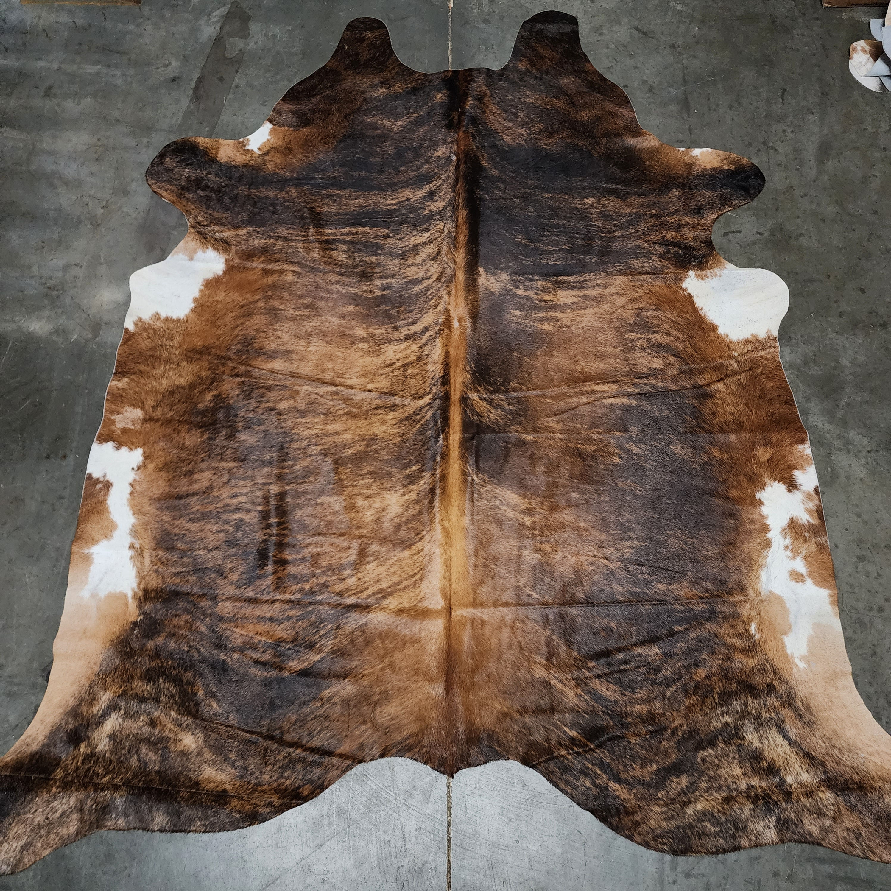 Cowhide #115